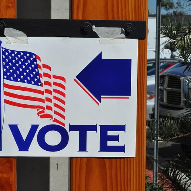 Vote sign