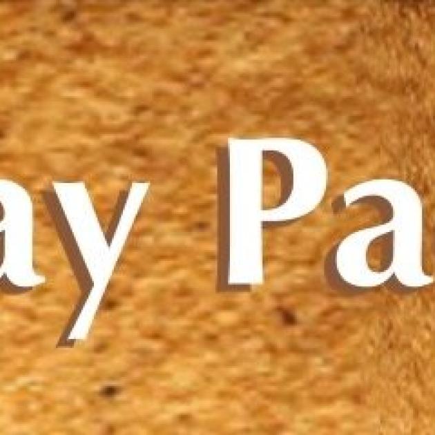 https://newdaypacifica.org/