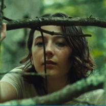 Woman peering through branches of tree