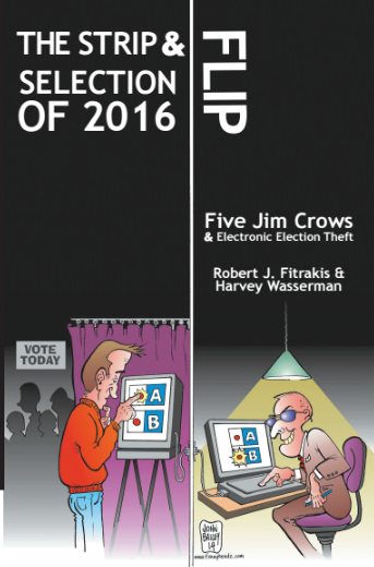 Cover of the book with picture of a guy voting on one side and a guy programming the voting machine to flip the vote on the other side