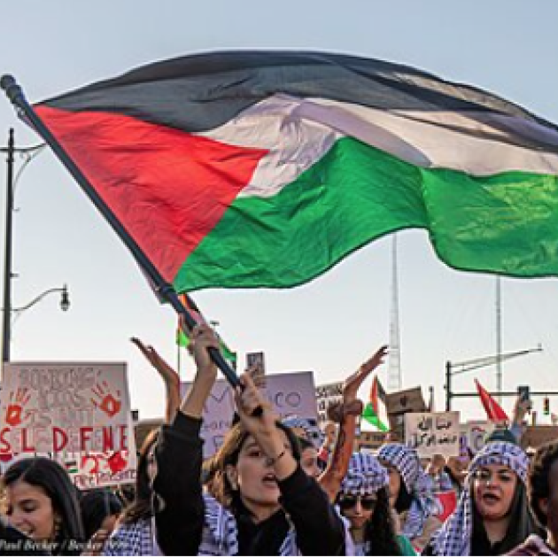 Waving Palestinian flag