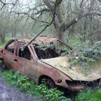 Wrecked car under a tree